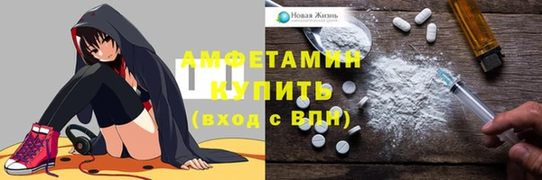 тгк Ельня