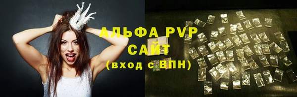 тгк Ельня