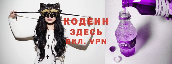 тгк Ельня