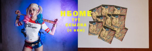 тгк Ельня