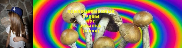 тгк Ельня