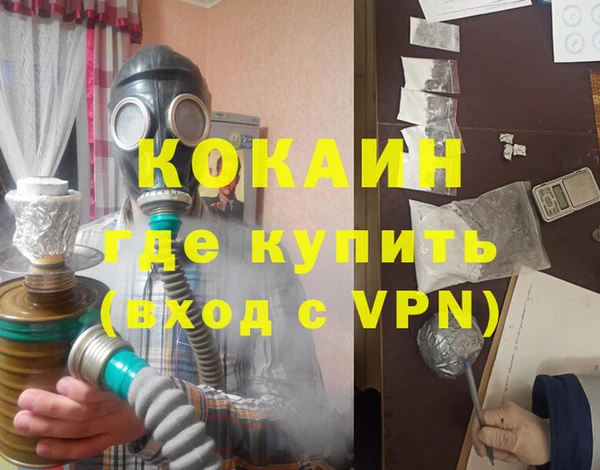 тгк Ельня