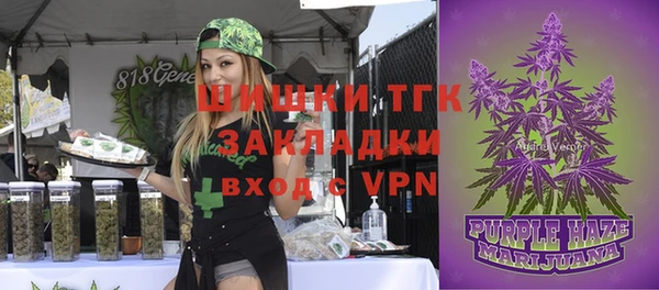 соль ск Домодедово
