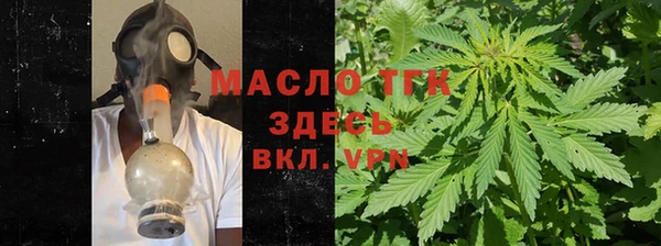 тгк Ельня