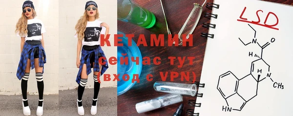 тгк Ельня