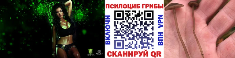 Галлюциногенные грибы Magic Shrooms  Купить  Заводоуковск 